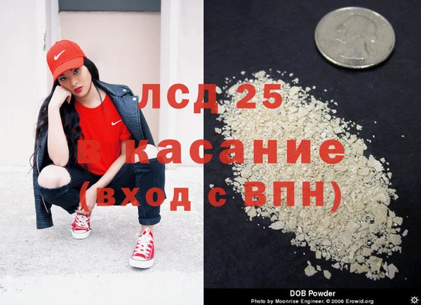 ГАЛЛЮЦИНОГЕННЫЕ ГРИБЫ Балабаново