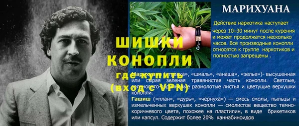 2c-b Белокуриха