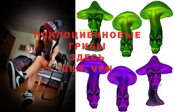 ГАЛЛЮЦИНОГЕННЫЕ ГРИБЫ Балабаново