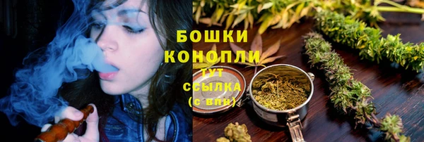 mix Туринск