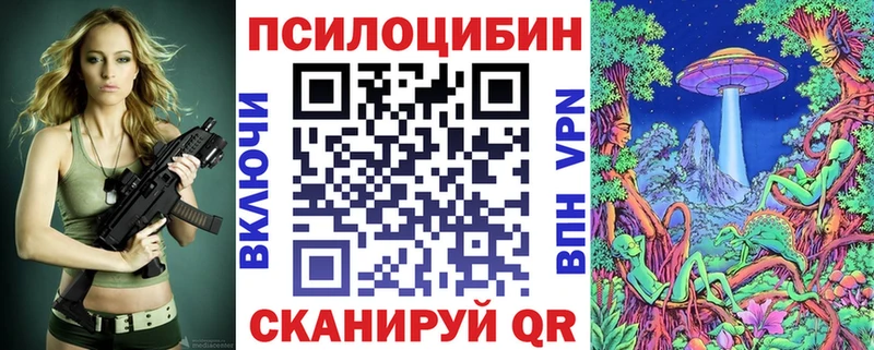 цена   Борисоглебск  Галлюциногенные грибы MAGIC MUSHROOMS 