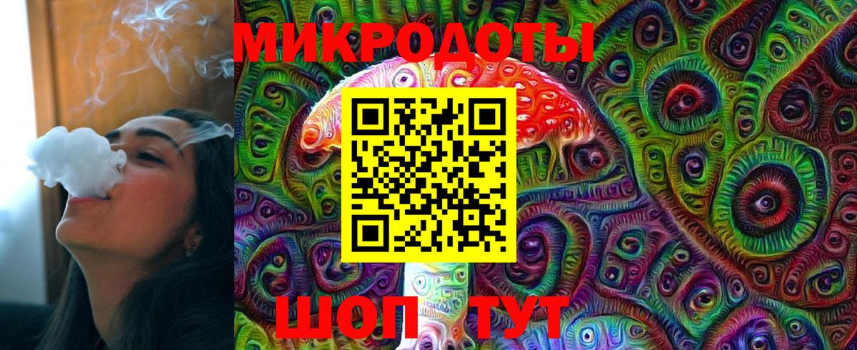 Псилоцибиновые грибы Psilocybe Борисоглебск